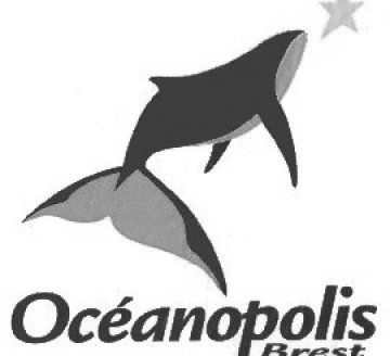 Océanopolis choisit Publicis Activ Brest