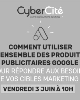 Webinar Cybercité Vendredi 3 Juin