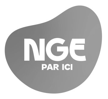 NGE change de logo pour mieux refléter la diversité de ses activités