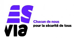 ESVIA.logo