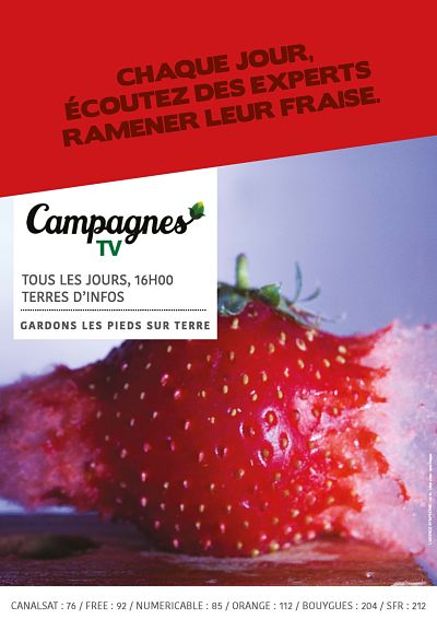 annonce_presse_campagnes_tv_fraise_opt