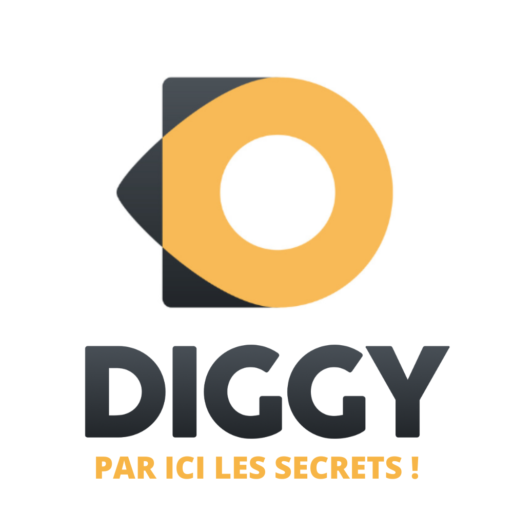 logo diggy